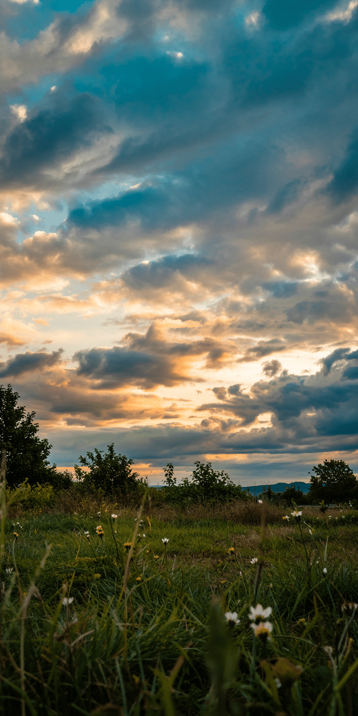 This wallpaper captures the golden hour over a peaceful meadow, with dramatic clouds in soft blue, gray, and orange hues. The wildflowers and grass in the foreground create a serene, grounding feel. A great choice for lovers of sky aesthetic and clouds wallpaper, offering a warm and calming phone background.