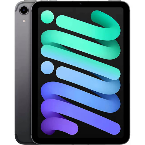 iPad Mini 6 (2021) - 64GB / Space Gray / Wifi / Good