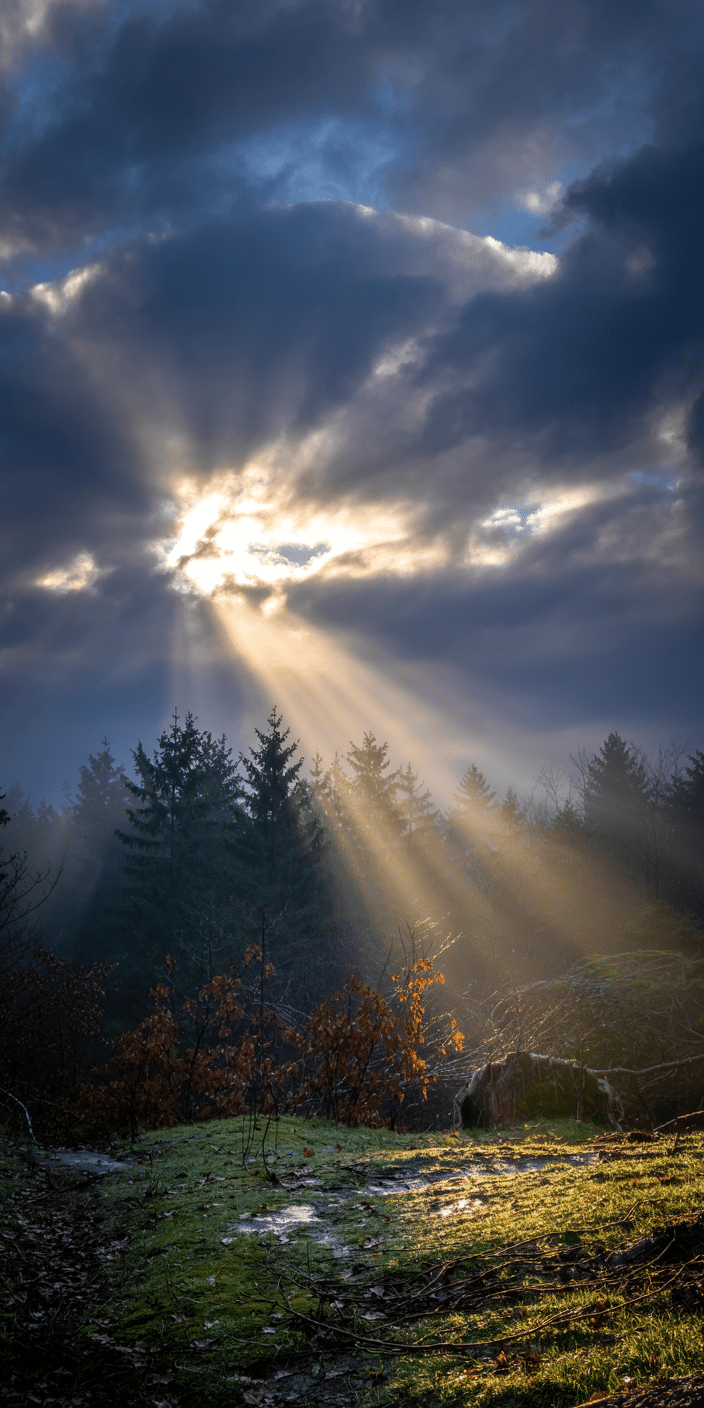This captivating wallpaper features heavenly sunbeams piercing through heavy blue-gray clouds, casting golden light onto a quiet forest floor. The glowing rays illuminate the misty pine trees and autumn foliage, creating a peaceful, otherworldly vibe. A perfect option for those who love hd sky and background clouds, this serene forest moment works beautifully as a calming phone background for both iPhone and Android.