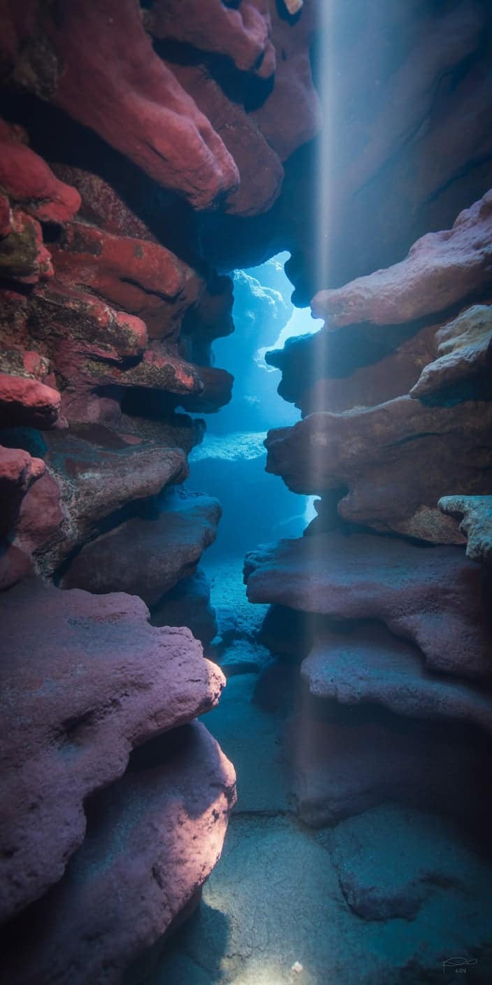 This stunning underwater wallpaper captures a vertical tunnel framed by layered coral rock formations, with a soft beam of sunlight shining through. The colors blend dusty pinks, rusty reds, and oceanic blues for a visually rich effect. This is a great pick for those drawn to coral wallpaper aesthetic and watercolor wallpaper iPhone styles. The image’s depth and texture offer an immersive escape into ocean beauty.