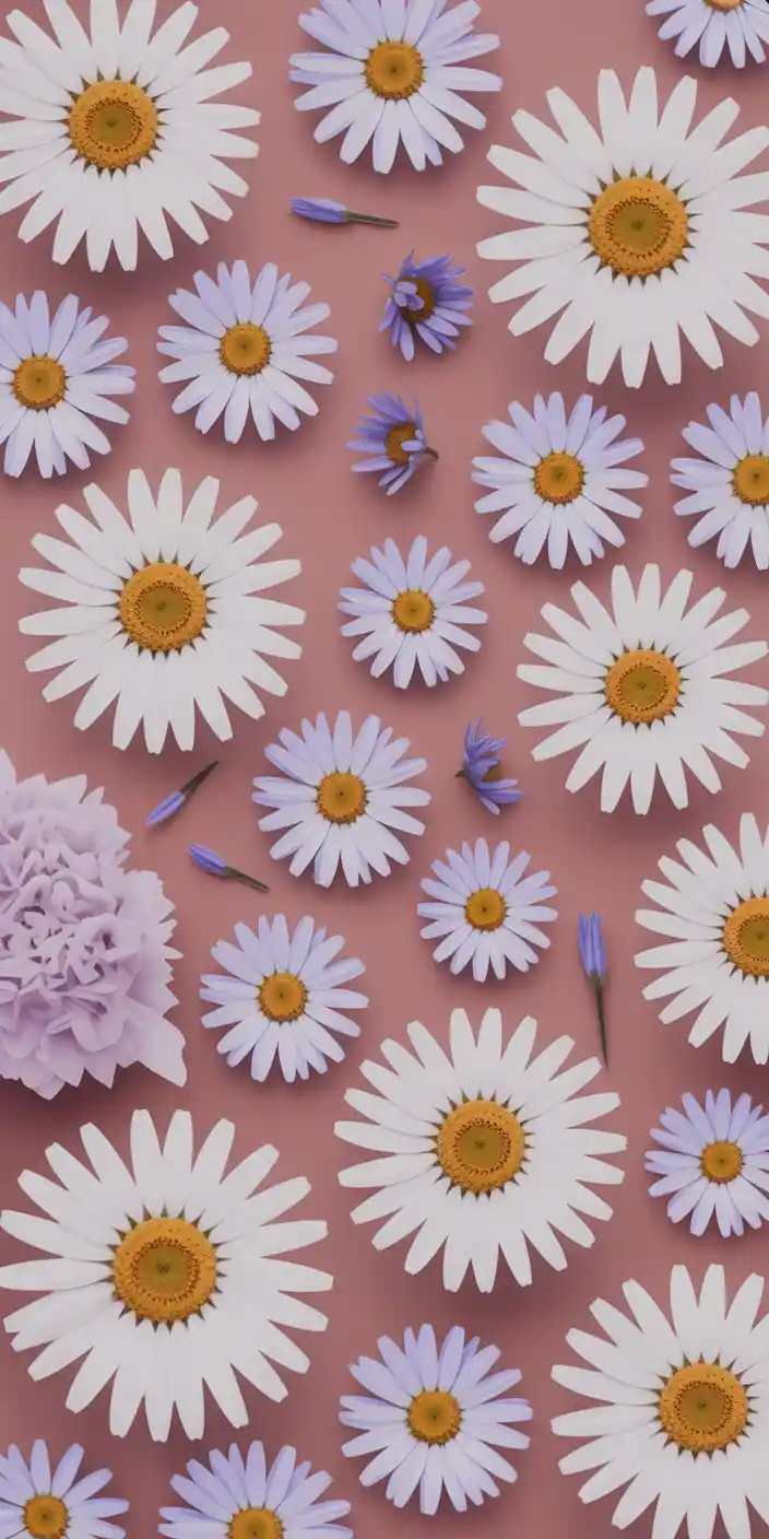A delicate arrangement of white daisies and lavender flowers lays across a soft pink background, creating a sweet and charming composition. This floral layout is ideal for users who enjoy Pink Girly Wallpaper Iphone Aesthetic and Beautiful Girly Wallpapers. The contrast of pale petals against the muted pink hue brings a cheerful, feminine vibe to your smartphone. A lovely choice for iPhone users who want a nature-inspired yet aesthetic look.
