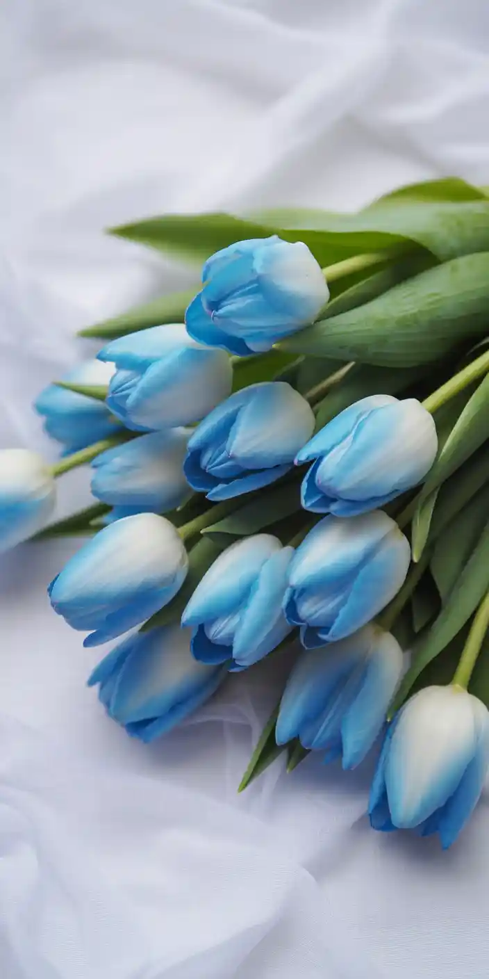 A gentle bouquet of soft blue tulips rests on flowing white fabric, creating a soothing and luxurious springtime scene. The tulips' gradient of blue and white petals make this a lovely light blue mood board or cute floral iPhone wallpaper choice for your phone. It’s the perfect blend of softness, elegance, and floral freshness.